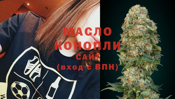 амф Протвино