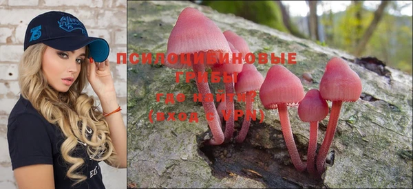 амф Протвино