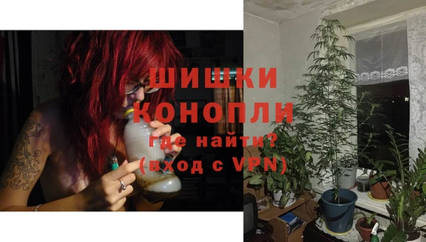 амф Протвино
