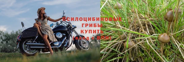 2c-b Приозерск