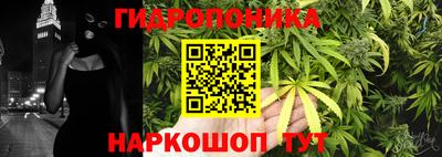 a pvp Гусь-Хрустальный