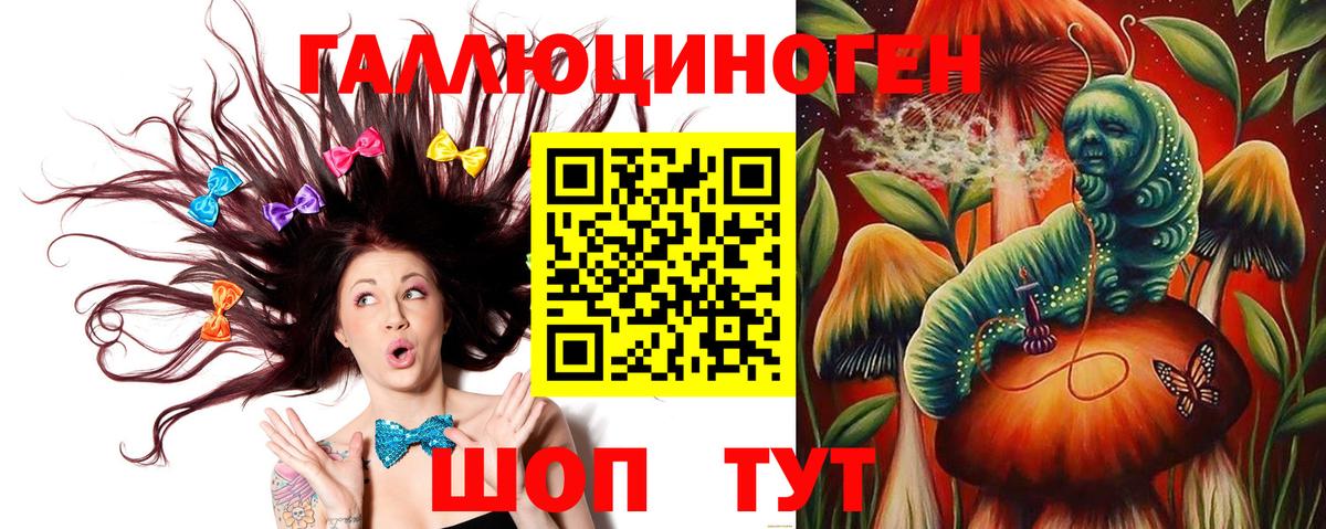 Скопин  Галлюциногенные грибы прущие грибы  Вход с VPN  Псилоцибиновые грибы Psilocybine cubensis 