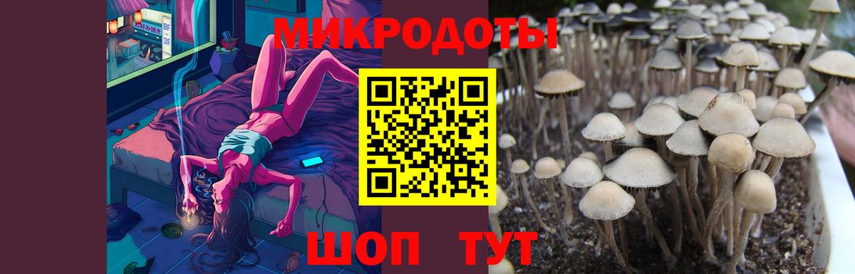 Псилоцибиновые грибы MAGIC MUSHROOMS  Галлюциногенные грибы MAGIC MUSHROOMS  Скопин 